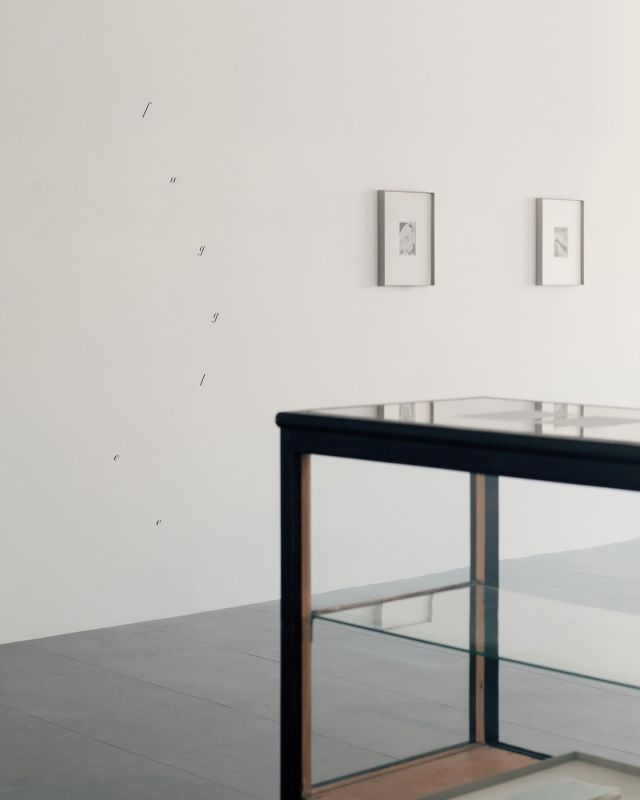 .
　　
｜ 開催中 ｜
　　
松浦摩耶 写真展「fugle」
　　
2025.1.24（金） - 2.9（日）
［作家在廊予定日］1.24（金）・1.25（土）・1.26（日）
　　
1月24日から始まった写真家・松浦摩耶さんの展示。初日からたくさんの方にお越しいただき誠にありがとうございます。
25日と26日は松浦さんも在廊されていますので、この機会に是非会場へ足をお運びください。
　　
＊昨年12月に発表された自身初の写真集 「fugle」や今回の展示について、松浦さんにインタビューをおこないました。
 @claska_online_shop プロフィールにあるURLよりTOPページへ→「Web magazine」よりご覧ください。
　　
photo: Maya Matsuura
　　
-
　　
2025.1.24（金） - 2.9（日）
水曜～日曜  12:00～17:00
月・火曜休廊
［作家在廊予定日］1.24（金）・1.25（土）・1.26（日）
　　
GALLERY CLASKA
東京都港区南青山2-24-15 青山タワービル9F
＊東京メトロ銀座線「外苑前」駅 1b出口より徒歩1分
